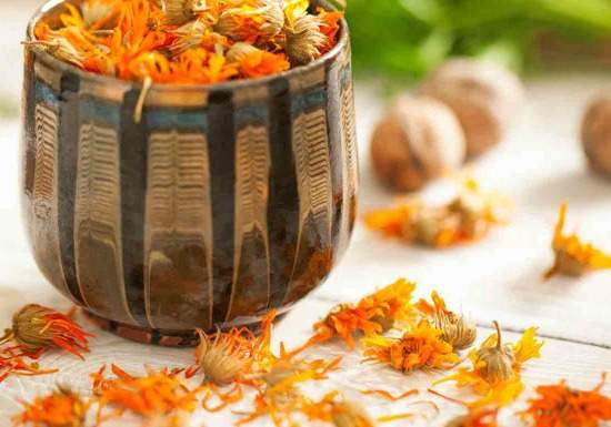 calendula